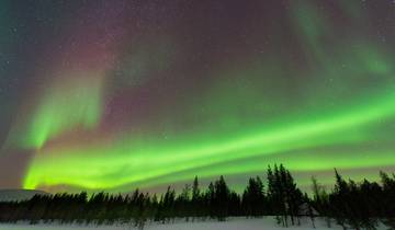 Finnland Rundreise - 5 Tage Aurora Borealis mit Glasiglu-Option