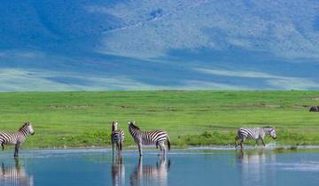 Het beste van Serengeti en Ngorongoro safari