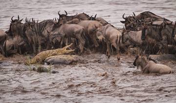 Safari abordable dans le nord de la Tanzanie Big Five circuit