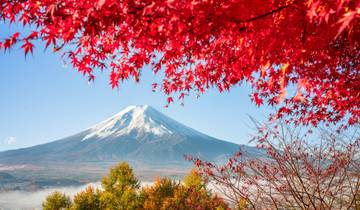 Paquete turístico de 11 días con lo más destacado de Corea del Sur y Japón