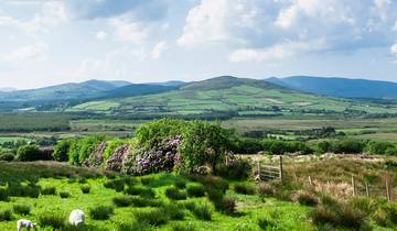 Ireland