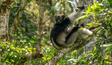 7 Days in Madagascar, incl. Antananarivo and Andasibe