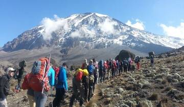 Best Kilimanjaro Hike: 1-Day Marangu Route Experience Tour