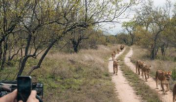 Kenia & Tanzania: Ultiem luxe safari-avontuur