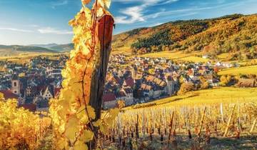 Alsace: land of tradition and gastronomy (port-to-port cruise) - L EUROPE (from Strasbourg to Obernai)