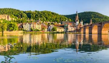 One-of-a-Kind Cruise on the Rhine and Neckar Rivers (port-to-port cruise)