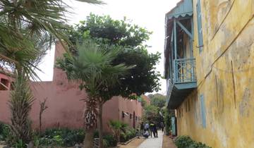17 Days in West Africa, incl. Senegal and The Gambia