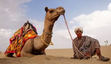 The Royal Rajasthan Journey  : 8 Days!