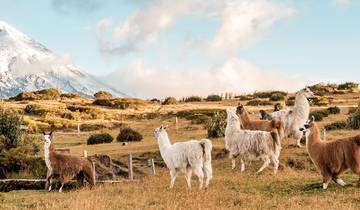 Ecuador Highlands (7 destinations)