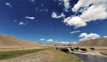 Kazakhstan - Kyrgyzstan: In the Tien Shan