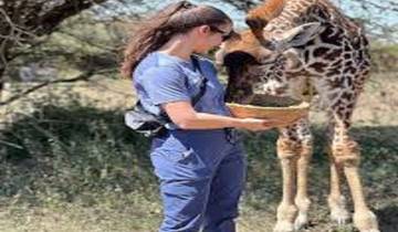 Experience Animal Feeding Tanzania Safari Adventures