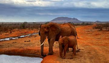 3 DAYS TSAVO UNTAMED ADVENTURE