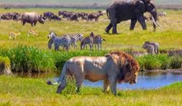 Tansania National Park Safari: Serengeti-Abenteuer Rundreise