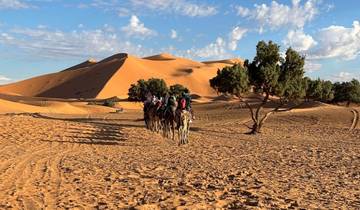 Aventure privée de 4 jours dans le désert du Sahara : Aller-retour de Marrakech circuit