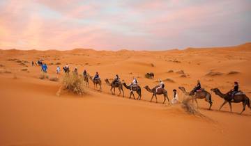 L\'âme du Sahara et des villes circuit