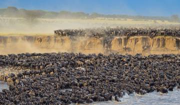 10-Day Tanzania Luxury Family Safari - Great Migration