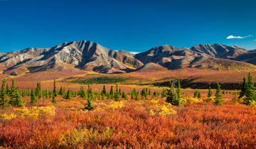 Grand Canada & Alaska and Voyage of the Glaciers 2025|2026 - 24 Days