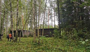 Bear trails & berry feast in the wild north of Estonia