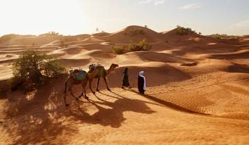 12 Day; Casablanca to Marrakech Private tour Tour