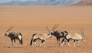 Private Namibia Classic Safari Tour