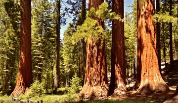 Los Angeles, Las Vegas et les parcs nationaux