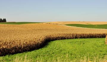 Verken de VS vanuit het westen – met Chicago & NY – eindpunt Washington