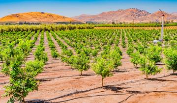 Parc de l'Ouest depuis Las Vegas (10 destinations)