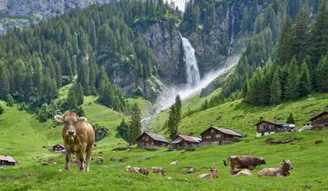France and Switzerland with enchanted Alsace Tour