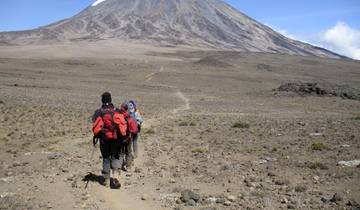 Mount Kenya and Kilimanjaro Tour