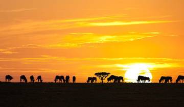 7-Day Mid-Range Safari in Tanzania Tour