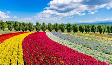 Northern Japan & Hokkaido Adventure