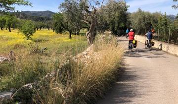 8 Days in Mallorca Cycling, incl. Palma and Serra de Tramuntana