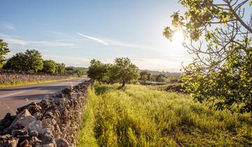 8 Days in Mallorca Cycling, incl. Palma and Serra de Tramuntana