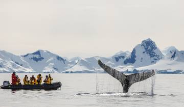 20 Day Antarctica Expedition Itinerary, incl. Falklands and South Georgia