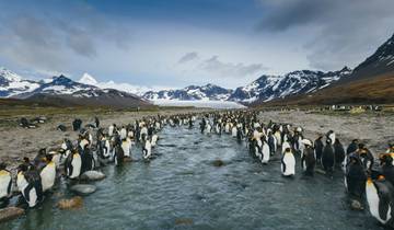 20 Day Antarctica Expedition Itinerary, incl. Falklands and South Georgia