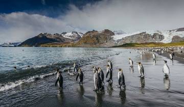 20 Day Antarctica Expedition Itinerary, incl. Falklands and South Georgia