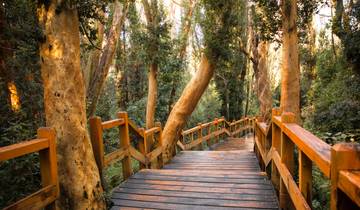 3 Days in Argentine Patagonia, incl. Bariloche and Nahuel Huapi