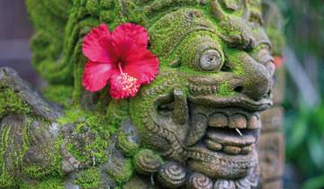 Bali pour ralentir circuit