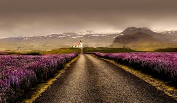 Golden Circle of Iceland Summer - Self Drive Tour