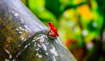 12 Day Costa Rica & Panama Itinerary, incl. San Jose and Panama City