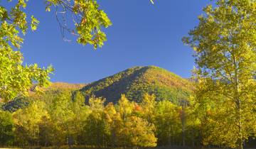 Womens Fall Colors in the Smokies Rucksack