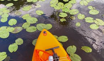 Stand Up Paddle tour from Tirana Albania to Skadar Lake & Buna River Tour