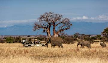 7-Day Finest Safari in Tanzania Tour