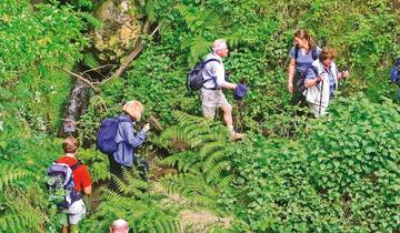 Madeira - Groen droomeiland in de Atlantische Oceaan