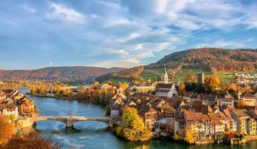 Châteaux et vignobles de charme du Rhin et de la Moselle avec la Suisse 2026 - 12 jours (from Zurich to Francfort-sur-le-Main)