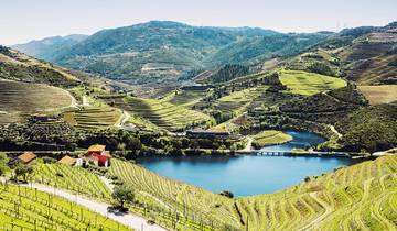 Delightful Douro with Porto Tour