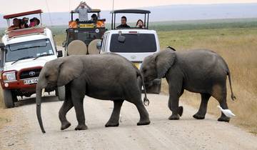 3-Tage Amboseli - Tsavo Ost - Mombasa Midrange Safari - 20% Rabatt