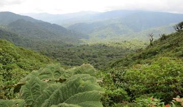 Costa Rica: The Wonders & Wildlife of the North