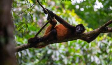 Costa Rica: The Wonders & Wildlife of the North