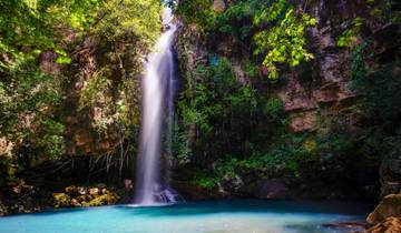 Costa Rica: The Wonders & Wildlife of the North